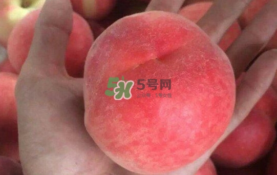 紅不軟桃?guī)自路莩墒?？紅不軟桃什么時候成熟