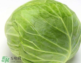 圓白菜是什么菜？圓白菜能生吃嗎？