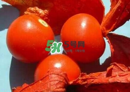 姑娘果是什么果？姑娘果怎么吃