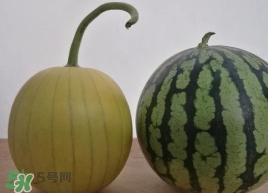 四色瓤西瓜是轉基因嗎？四色瓤西瓜是不是轉基因？