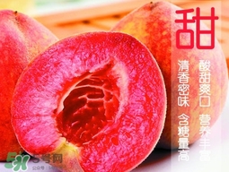 血桃?guī)自鲁墒?？血桃有什么營養(yǎng)價值