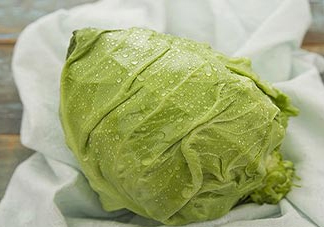 圓白菜是包菜嗎？圓白菜是大頭菜嗎？