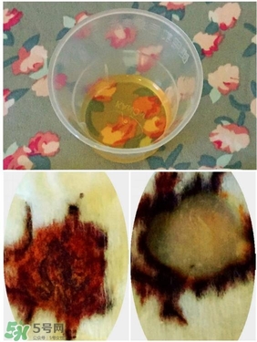 frangi芙蓉肌女神水評測_心得_體驗 frangi芙蓉肌女神水評測_心得_體驗