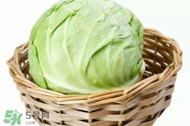 圓白菜是卷心菜嗎？圓白菜是不就是卷心菜