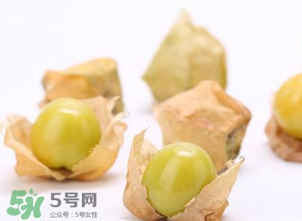 姑娘果什么時候成熟？姑娘果什么時候上市