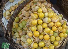 花姑娘水果怎么吃？花姑娘水果吃之前要洗嗎？