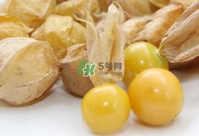 姑娘果多少錢一斤2017？姑娘果哪里有賣