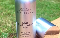 雅詩敦活顏補(bǔ)水噴霧多少錢_專柜價格