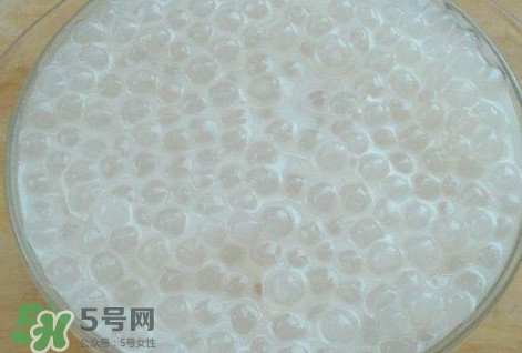 楊枝甘露是比喻什么？楊枝甘露是什么