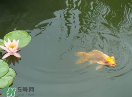 2017年夏至?xí)掠陠?？夏至下雨有什么說法？