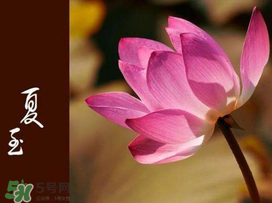 2017年夏至?xí)掠陠?？夏至下雨有什么說法？