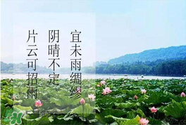 夏至是入伏嗎？夏至后多久入伏？