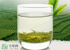 信陽毛尖多少錢一斤 信陽毛尖多少錢一盒 信陽毛尖多少錢一斤 信陽毛尖多少錢一盒