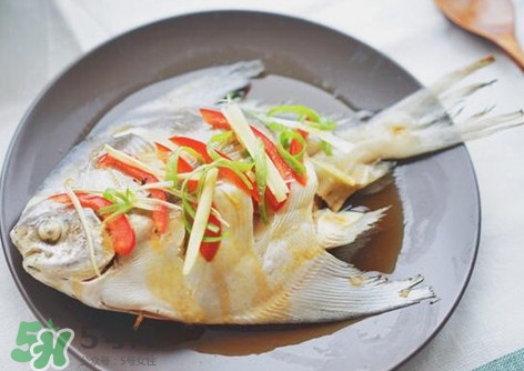 鱸魚刺多嗎？鱸魚適合做給寶寶吃嗎？