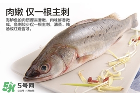 鱸魚(yú)是海鮮嗎？鱸魚(yú)是不是海鮮？