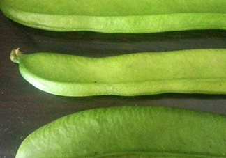 刀豆是四季豆嗎？刀豆和四季豆的區(qū)別