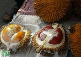 紅心榴蓮多少錢一斤？紅心榴蓮為什么這么貴？