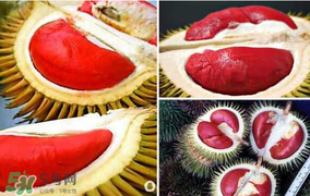 紅心榴蓮叫什么？紅心榴蓮是哪個(gè)國家產(chǎn)的？