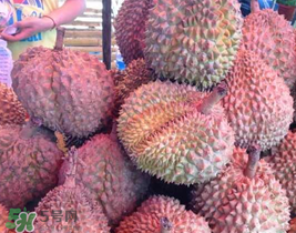 紅心榴蓮好吃嗎？紅心榴蓮和普通榴蓮哪個(gè)好吃?