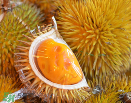 紅心榴蓮是轉(zhuǎn)基因的嗎？紅心榴蓮是不是轉(zhuǎn)基因？