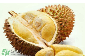 紅心榴蓮是轉(zhuǎn)基因的嗎？紅心榴蓮是不是轉(zhuǎn)基因？