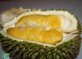 紅肉榴蓮是什么品種？紅色的榴蓮是什么品種？