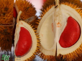 紅肉榴蓮是什么品種？紅色的榴蓮是什么品種？