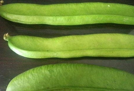 刀豆是發(fā)物嗎？刀豆是不是發(fā)物