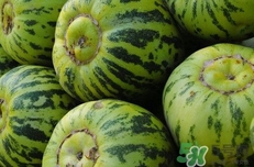 菜瓜到底是不是黃瓜？ 菜瓜和黃瓜的區(qū)別