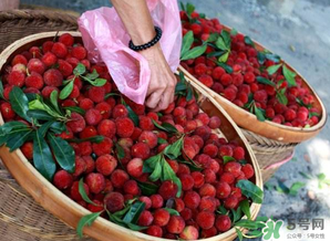 楊梅和西瓜能一起吃嗎？西瓜可以和楊梅一起吃嗎？