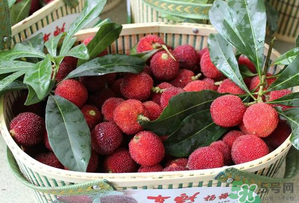 楊梅和西瓜能一起吃嗎？西瓜可以和楊梅一起吃嗎？