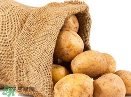 馬鈴薯有毒嗎？馬鈴薯生吃有毒嗎？