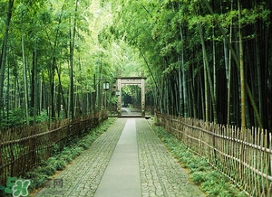 6月份去杭州穿什么？六月份去杭州穿衣搭配