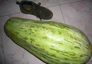 菜瓜怎么炒好吃？菜瓜怎么做好吃