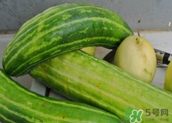 菜瓜到底是不是黃瓜？ 菜瓜和黃瓜的區(qū)別