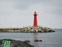 6月份去韓國穿什么？六月份去韓國穿衣搭配