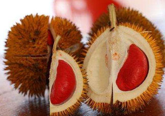 紅心榴蓮叫什么？紅心榴蓮是哪個(gè)國家產(chǎn)的？