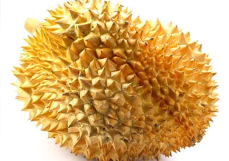 紅心榴蓮是轉(zhuǎn)基因的嗎？紅心榴蓮是不是轉(zhuǎn)基因？