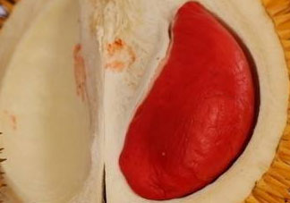 紅肉榴蓮是什么品種？紅色的榴蓮是什么品種？