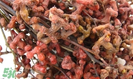 萬壽果多少錢一斤2017？萬壽果什么時候成熟