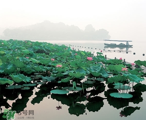 6月份去杭州穿什么？六月份去杭州穿衣搭配