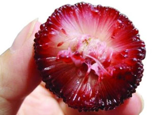 楊梅籽可以吃嗎？吃楊梅籽有什么好處？