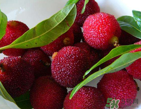 楊梅和榴蓮可以一起吃嗎？吃完楊梅可以和吃榴蓮嗎？