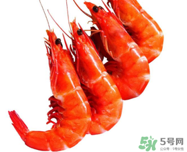 楊梅和蝦能一起吃嗎？蝦和楊梅能一起吃嗎？