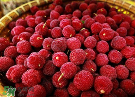 吃完楊梅不能吃什么？吃完楊梅可以吃別的水果嗎？