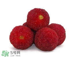 吃完楊梅不能吃什么？吃完楊梅可以吃別的水果嗎？