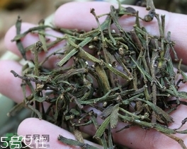 螃蟹腳茶哪些人不能喝？螃蟹腳茶哪些人能喝