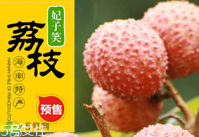 妃子笑荔枝多少錢一斤？2017妃子笑荔枝價格