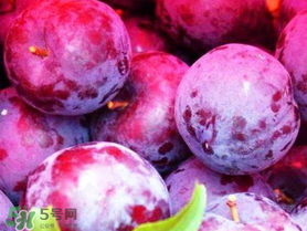 紅心李子孕婦可以吃嗎？紅心李子營(yíng)養(yǎng)價(jià)值