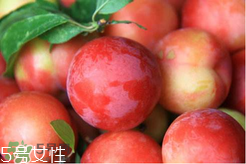 ?楊梅和李子能一起吃嗎？楊梅和李子一起吃會中毒嗎？